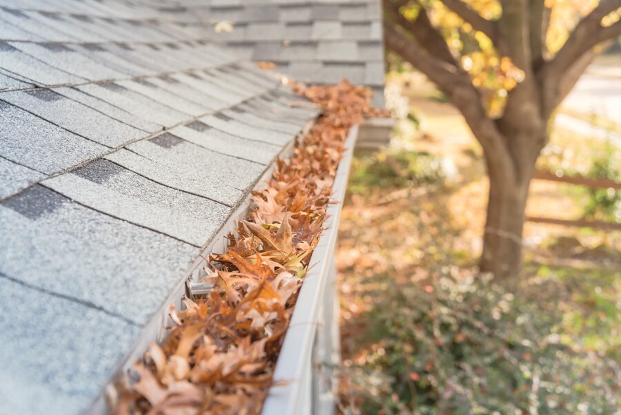  Gutter Cleaning by CST Property Services, LLC